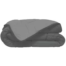 Poyet-Motte Leichte Decke Silber 220x240 cm,