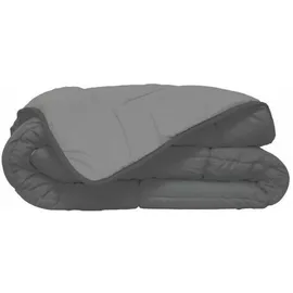 Poyet-Motte Leichte Decke Silber 220x240 cm,