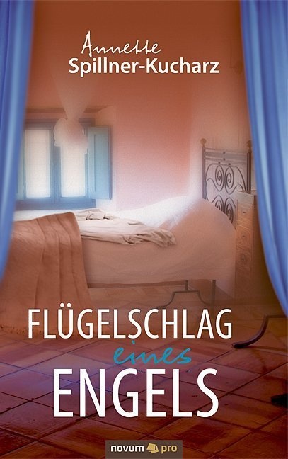 Flügelschlag Eines Engels - Annette Spillner-Kucharz  Kartoniert (TB)