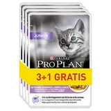 Purina Pro Plan Junior Türkei Katzenfutter 4 x 85 g