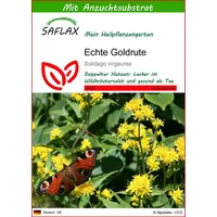 SAFLAX - Heilpflanzen - Echte Goldrute - 100 Samen