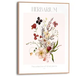 Bild HERBARIUM - bunt - BHT 30x40x1.60 cm