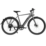 AsVIVA BC1-C Urban 28 Zoll RH 54 cm grau