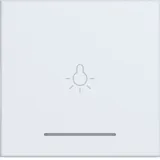 Hager Wippe 1fach mit Aufdruck Licht