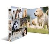 Herma Animals Hunde Ringbuch 2-Ringe Motiv