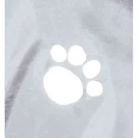 Trixie Tarbes Hundemantel XS 30 cm Transparent