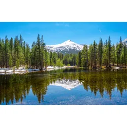 Fototapete PAPERMOON "YOSEMITE-SEE GEBIRGE BERGE ALPEN SONNE WALD BÄUME", bunt, B:3,50m L:2,60m, Vlies, Tapeten