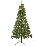 Livarno LED Weihnachtsbaum 210 cm mit 180 LEDs spritzwassergeschützt