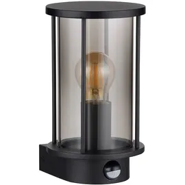 GLOBO Wandleuchte Außenlampe Fassadenleuchte Bewegungsmelder Glas Rauch Edelstahl Gartenleuchte, 1x E27, Hxb in cm: 25,2x14,3