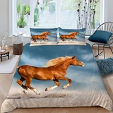 RFFLUX Pferd Bettwäsche 155x220 cm 3teilig mit Reißverschluss 3D Galopp Pferd Bettwäsche Sets Warme Winter Sommer Weich und Angenehme Bettbezüge mit 2 Kissenbezug 80x80 für Teenager