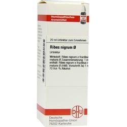 Ribes Nigrum Urtinktur 20 ml