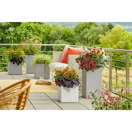 LECHUZA Canto Stone low 40 Komplettset 40 x 40 x 40 cm quarzweiß