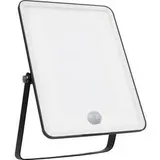 OSRAM Floodlight Essential Sensor 50W 3000K 4099854430176 LED-Außenstrahler mit Bewegungsmelder 50.00 W Warmweiß