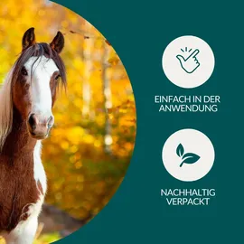 Vetevo Wurmtest Plus Pferd inkl. Lungenwürmer 1 St