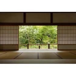 Fototapete PAPERMOON "Photo-Art YUMIAN DENG, ZEN ZONE", bunt, B:5,00m L:2,80m, Vlies, Tapeten