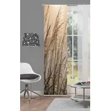 Home fashion 87997-711 Caruso Schiebevorhang Digitaldruck, Stoff, Natur, 245 x 60 cm