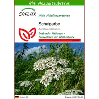 SAFLAX - Heilpflanzen - Schafgarbe - 200 Samen -