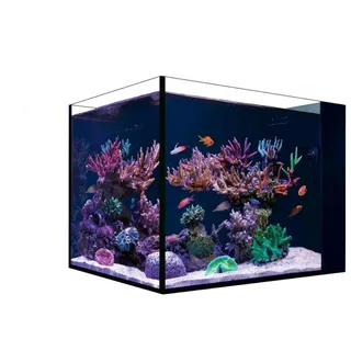 Red Sea Desktop Aquarium Set Peninsula