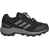 Terrex Goretex Hiking Shoes Schwarz EU 36 2/3