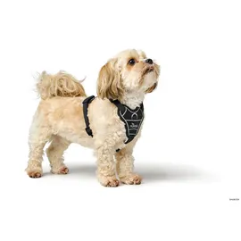 Hunter Divo Up Hundegeschirr Schwarz S-M