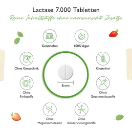 Vit4ever Lactase 7000 Tabletten 180 St.