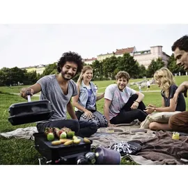 Weber Go-Anywhere 1141079