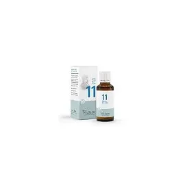 Homöopathisches Laboratorium Alexander Pflüger GmbH & Co. KG Biochemie Pflüger 11 Silicea D12 Dil.
