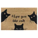 HANSE HOME 105667-45X75 Teppich Drinnen Bodenmatte Rechteck Kokosnuss-Faser Schwarz, Braun