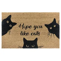 HANSE HOME 105667-45X75 Teppich Drinnen Bodenmatte Rechteck Kokosnuss-Faser Schwarz, Braun