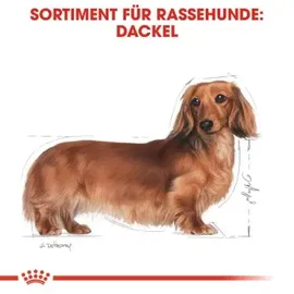 Royal Canin Dachshund 12 x 85 g