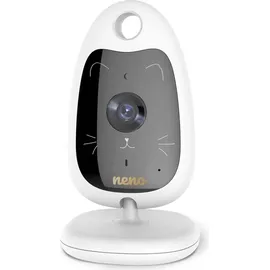 NENO Gato2 260 m