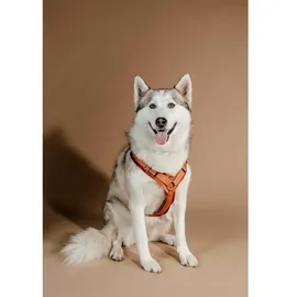 Kentucky Active Velvet Hundehalsband Orange 48-70 cm