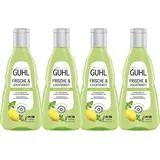 Guhl Frische & Leichtigkeit Anti-Fett Shampoo 1000 ml