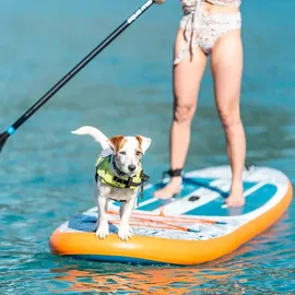 Aqua Marina Stand Up Paddle Set 310 x 79 x 15 cm Türkis