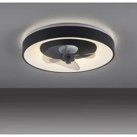 just light. Venika 1 x LED-Board 36 W rund schwarz