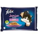 Felix Fantastic Junior Gelee mit Huhn und Lachs 4x85g (Rabatt für Stammkunden 3%)