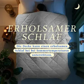 bc-agentur Bestlivings Bettdecke Hellgrau, leichtes Steppbett, Mikrofaser, atmungsaktiv, ohne Bettbezug nutzbar, Wärmeklasse 2, auch ideal für Reisen, Camping - Hellgrau