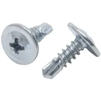 PROTEKTOR Blechschrauben Flachkopf 4,2 x 13 mm 1000 Stück