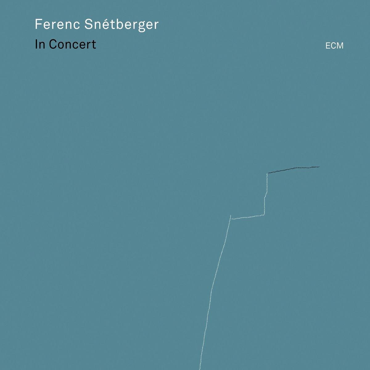 In Concert - Ferenc Snetberger. (CD)