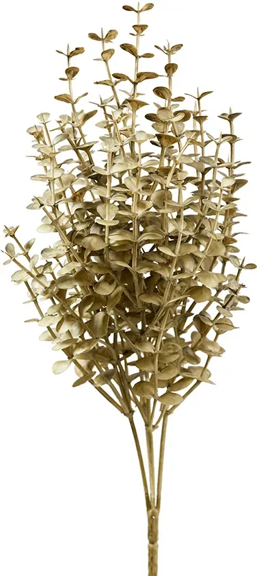 Eucalyptus Busch x5 35cm grün