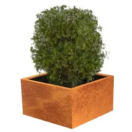 Palatino Clara 80x80x50cm Cortenstahl, Rotbraun)