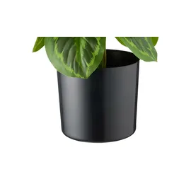 Möbel Kraft Maranta getopft ¦ grün ¦ Kunststoff ¦ Maße (cm): H: 45
