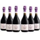 Castelli Modenesi Lambrusco Scuro Amabile Emilia IGT, Rotwein mit vollem und ausgewogenem Geschmack, 8 Prozent Vol., 6 Flaschen 750 ml