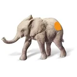 tiptoi® Afrikanisches Elefantenkalb
