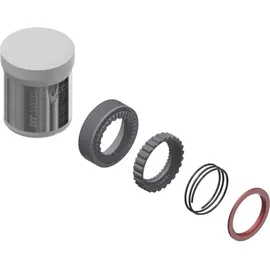 DT Swiss Service Kit Zahnscheibenfreilauf 36 Zähne schwarz Fahrrad-Service Kit