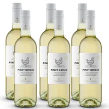 Cramele Recas Recas Food Pairing Pinot Grigio (2024), Cramele Recas