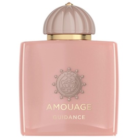 Amouage Odyssey Guidance Eau de Parfum 100 ml