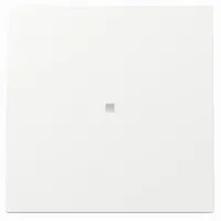 Gira Flächenschalter 329070