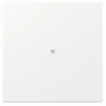 Gira Flächenschalter 329070