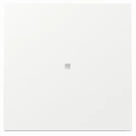 Gira Flächenschalter 329070
